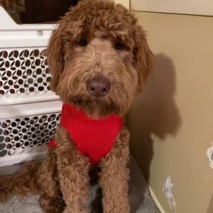 Meet your Posher, Kate